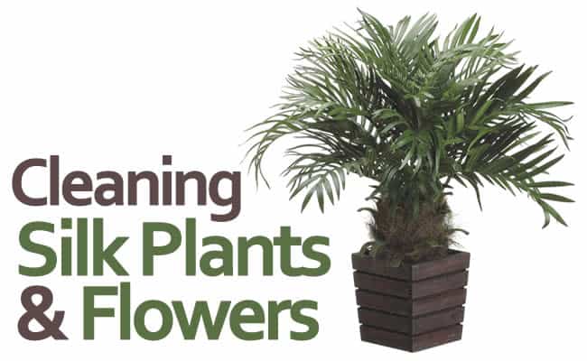 How do you clean artificial silk plants?