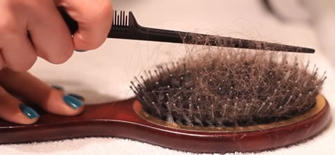 How to Clean your Hair Brushes - Clean My Space