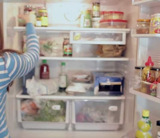 Clean the Damn Fridge! clean the fridge