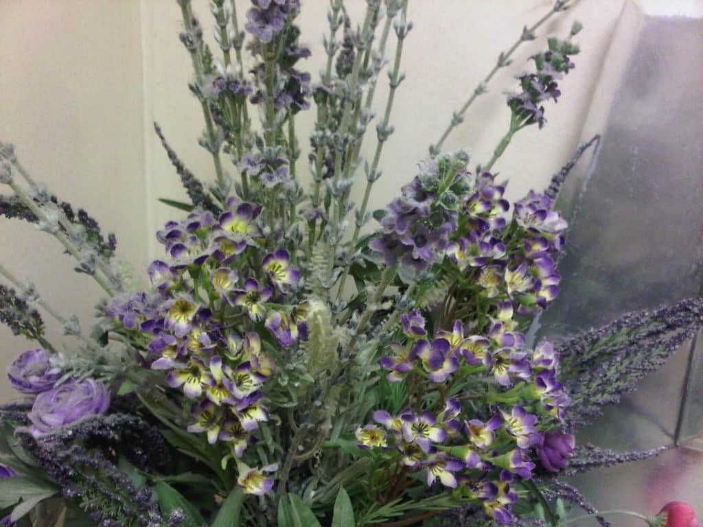 Cleaning Silk Plants & Flowers Clean My Space