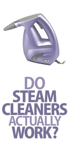 Product Review Shark Portable Steam Pocket Cleaner Clean My Space