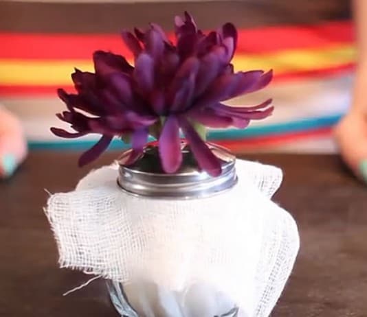 Melissa’s Secret DIY Room Deodorizer! diy room deodorizer