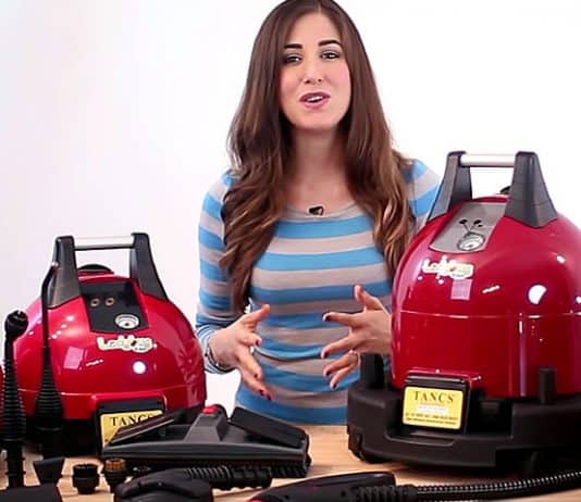 Review: Ladybug Steam Cleaners! ladybug review