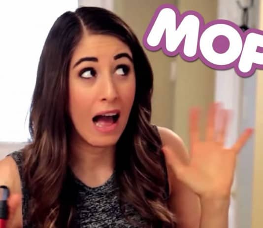 Everything You Wanted to Know About Mops but Were Afraid to Ask! all about mops