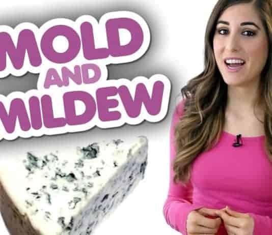 4 Things You Should Know About Mold & Mildew!