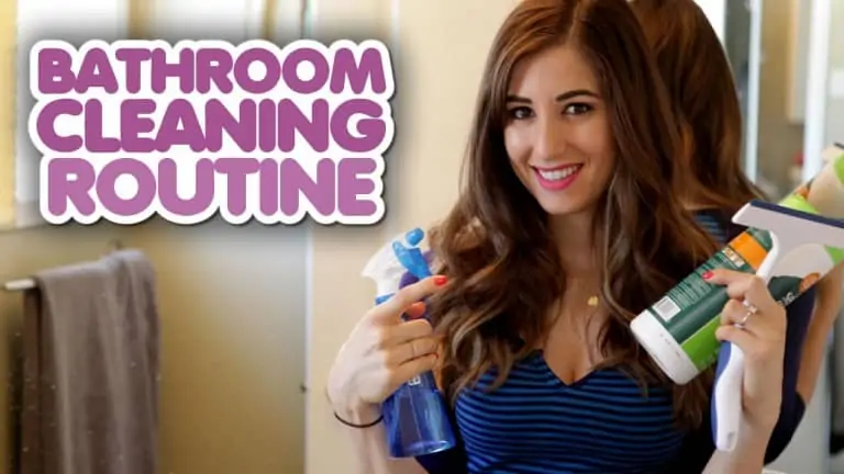 daily bathroom cleaning
