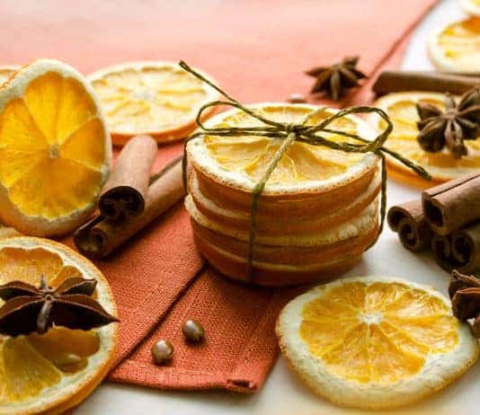 DIY Natural Home Deodorizers & Air Fresheners! citrus air deodorizer