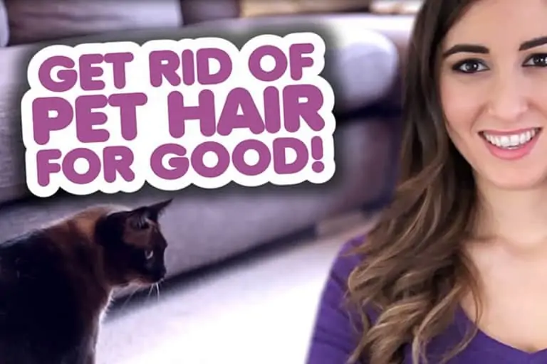 get rid of pet hair