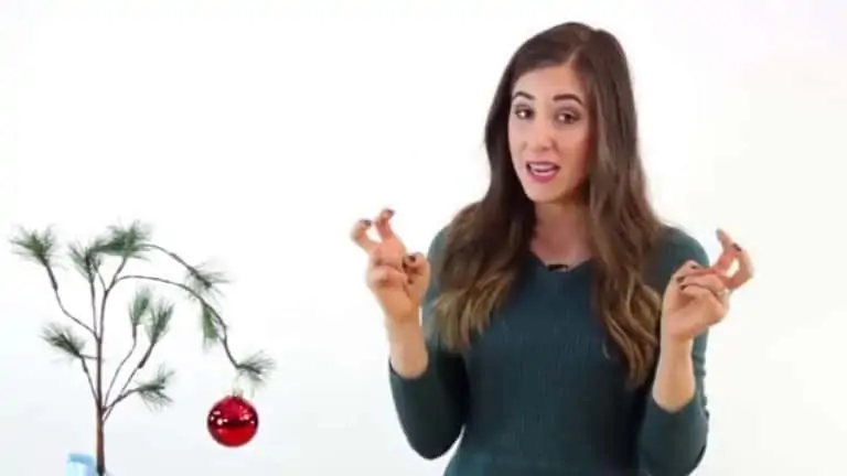 2015 Holiday Gift Guide!