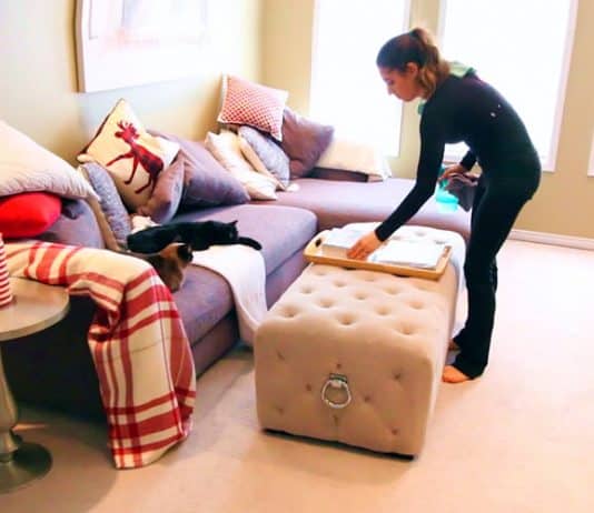 Clean With Me: LIVING ROOM