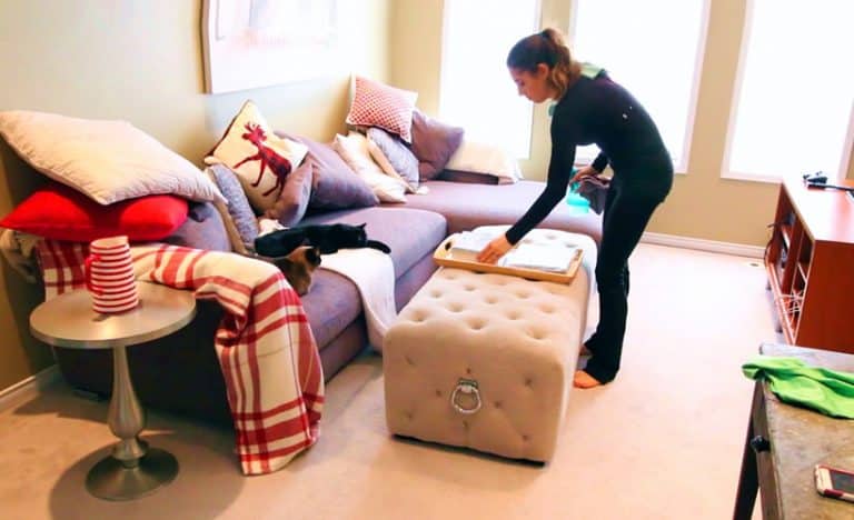 Clean With Me: LIVING ROOM