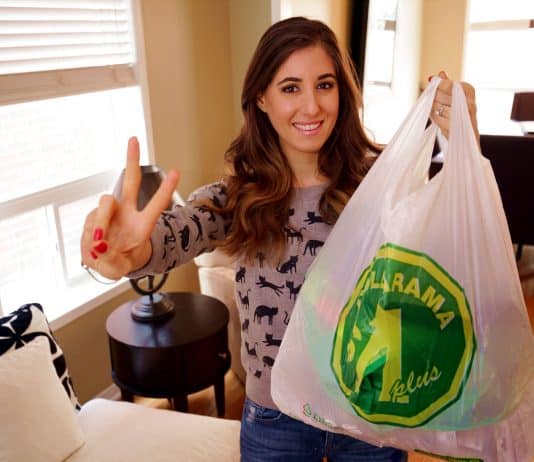 Dollar Store Haul – Part 2!