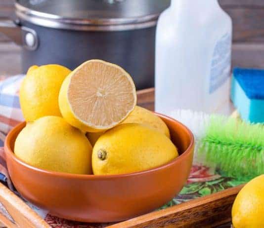 5 Safe, Natural DIY Cleaners! Replace Toxic Products In Your Home! DIY cleaning recipes