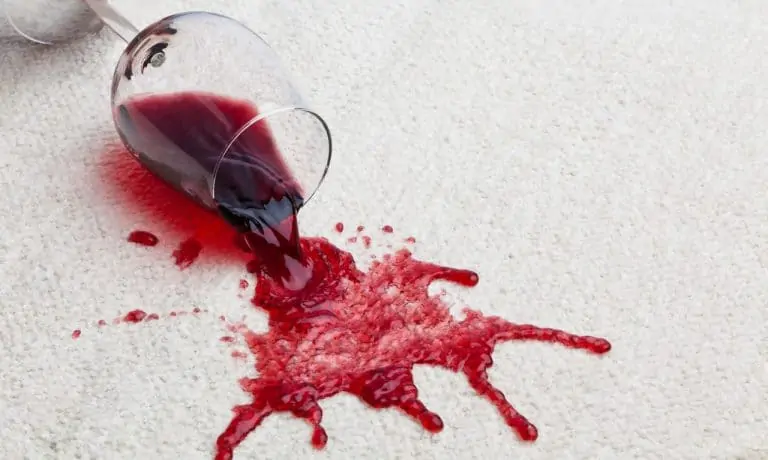 6 Products For Effectively Removing Carpet and Upholstery Stains (and Pet Odors)! 6 Products For Effectively Removing Carpet and Upholstery Stains (and Pet Odors)!