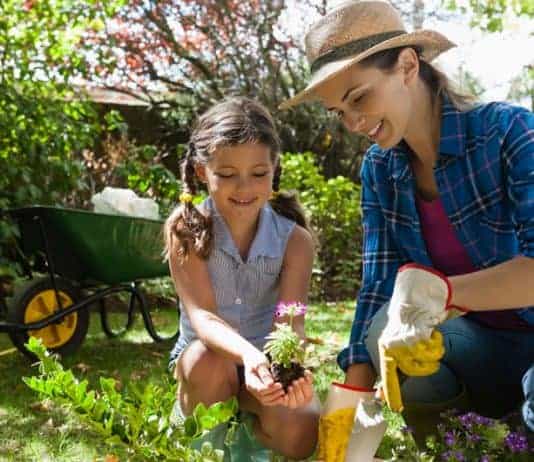 7 High-Impact Jobs to Make Your Yard Look AMAZING! garden