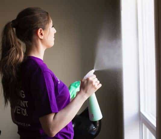 Save Money With These 7 DIY Cleaners! melissa maker spraying window