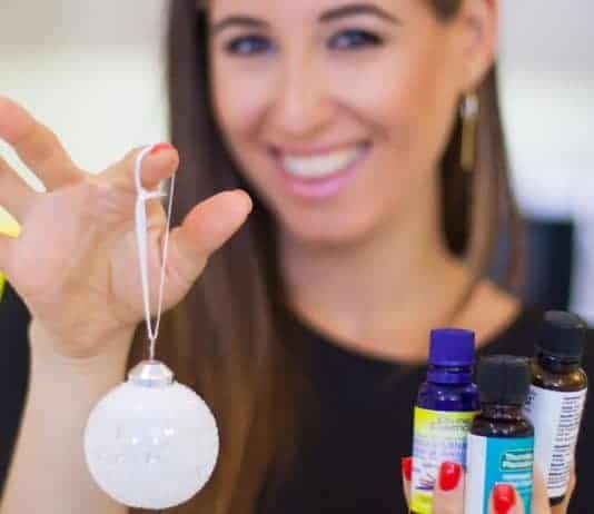 DIY Holiday Home Scents! melissa maker christmas scents