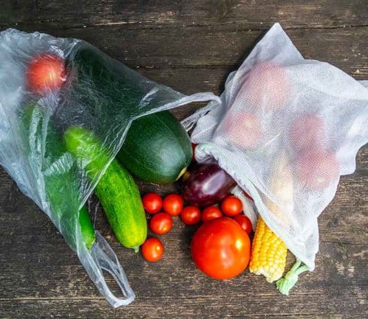 10 Simple Ways to Reduce Waste (Sustainable Living Tips) Bag of produce