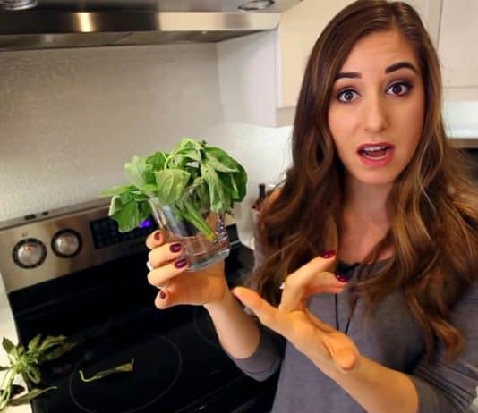 7 Foods You’re Storing All Wrong! melissa maker food storage