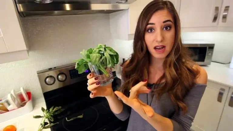 melissa maker food storage