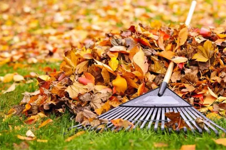 2020 Fall Cleaning Checklist