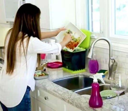 6 Simple Ways To Reduce Waste (and SAVE $$!) melissa composting