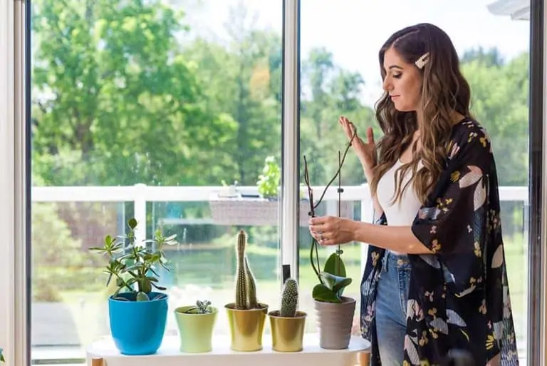 7 Secrets for Organizing Small Spaces!