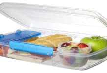 Best Lunch Containers for Adults and Kids Plus Cleaning Tips Sistema Bento Box