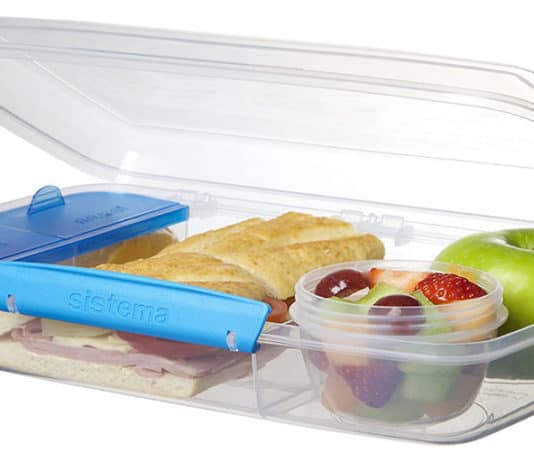 Best Lunch Containers for Adults and Kids Plus Cleaning Tips Sistema Bento Box