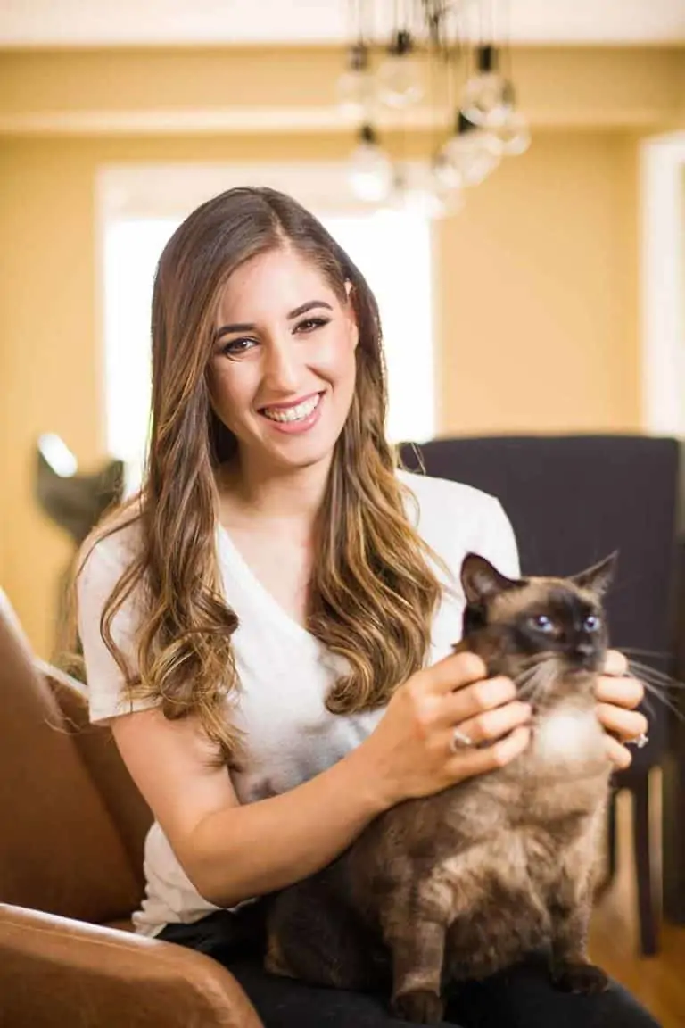 Pet Cleaning Tips: Pet Items You Should Be Cleaning Pet Cleaning Tips: Pet Items You Should Be Cleaning