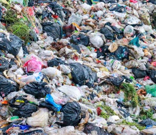 Polybags and Plastic Waste: What You Need to Know plastic garbage