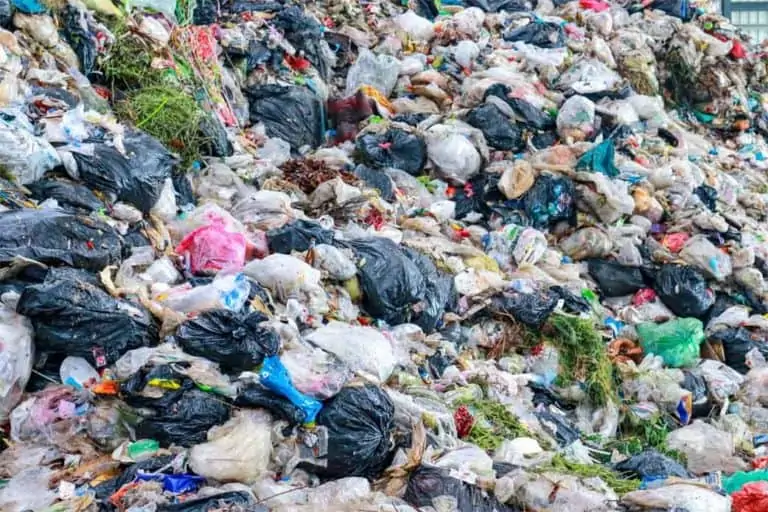 Polybags and Plastic Waste: What You Need to Know Polybags and Plastic Waste: What You Need to Know
