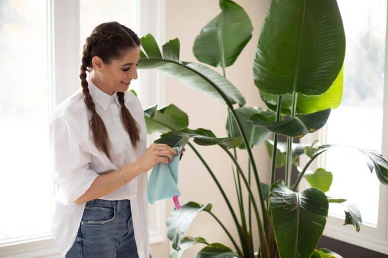 Melissa dusting plants