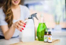 3 DIY Cleaners That Will Make Your Home Smell Great! Melissa's DIY recipes