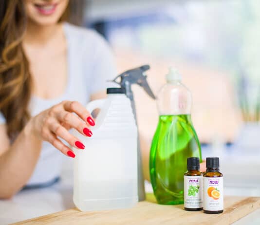 3 DIY Cleaners That Will Make Your Home Smell Great! Melissa's DIY recipes