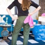 Pet Hair & Dander: The Definitive Guide Melissa cleaning living room