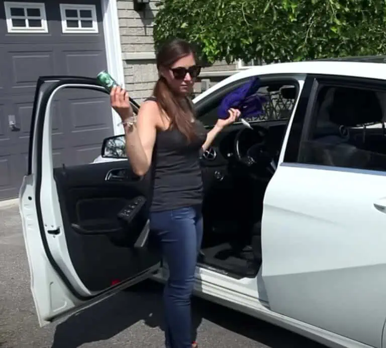 Melissa Maker - Car Cleaning