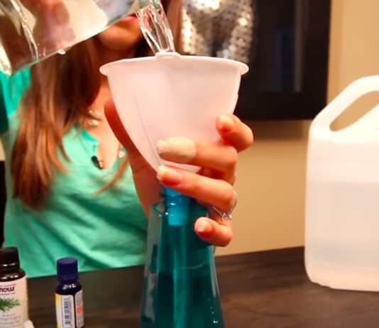 What You CAN (and CANNOT) Clean with Vinegar!